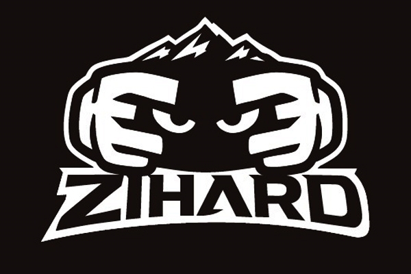 ZIHARD デリカD5